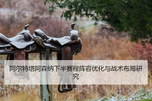 阿尔特塔阿森纳下半赛程阵容优化与战术布局研究 - haoli777